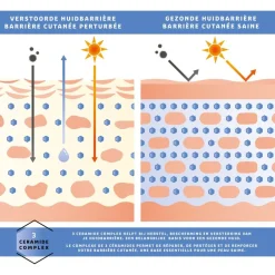 Kruidvat Derma SPF30 Hydraterende Dagcrème