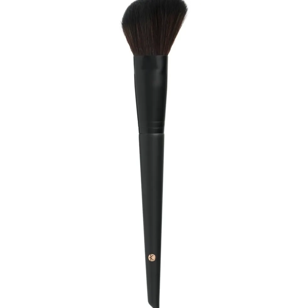 Kruidvat k675 Blusherkwast