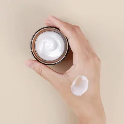 Mizon All In One Snail Repair Cream